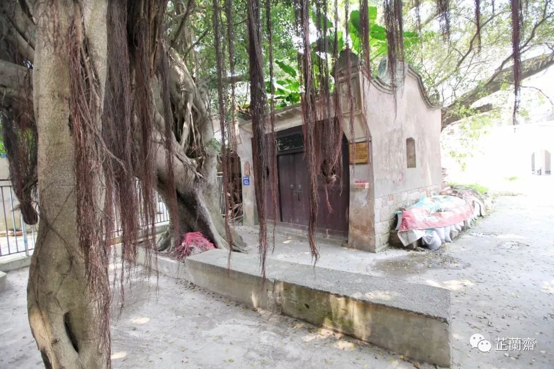 福建仓山观澜书院,福建省观澜书院