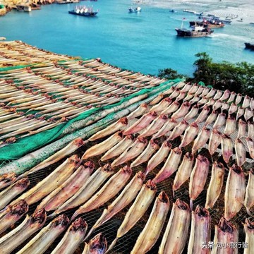 暑期海岛游火爆舟山成为首选,江浙沪周边游舟山嵊泗