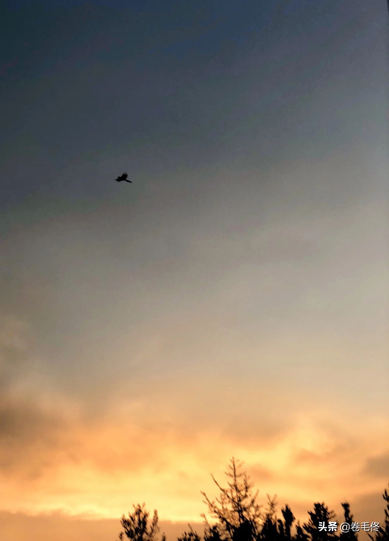 摄影师拍照的各种姿势和技巧,摄影师拍照有什么技巧