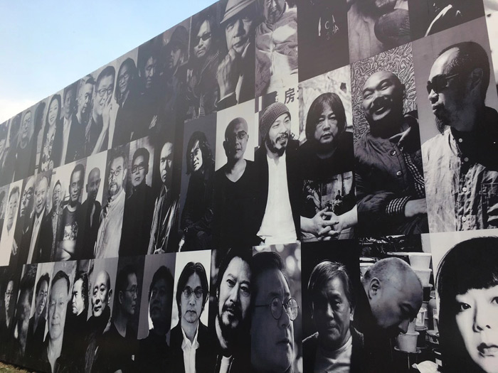 王萌安徽省,王萌安徽