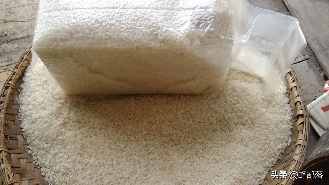 稻谷储存用什么防出米虫,玉米怎么储存才不会长虫