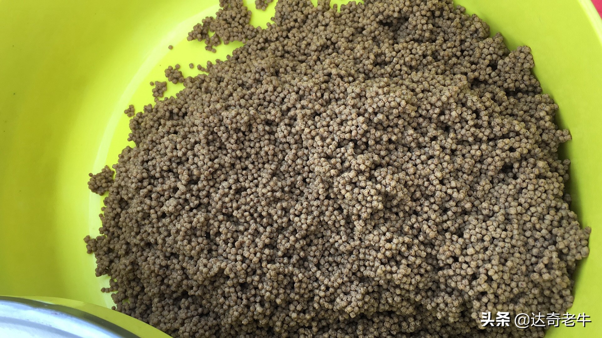 浮水颗粒怎么开成浮钓饵,浮水颗粒钓鱼选多大直径好用