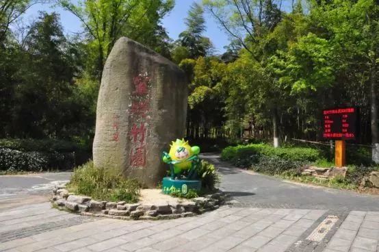 清凉竹海有什么好玩的地方,清凉避暑好去处竹林边唱歌等你