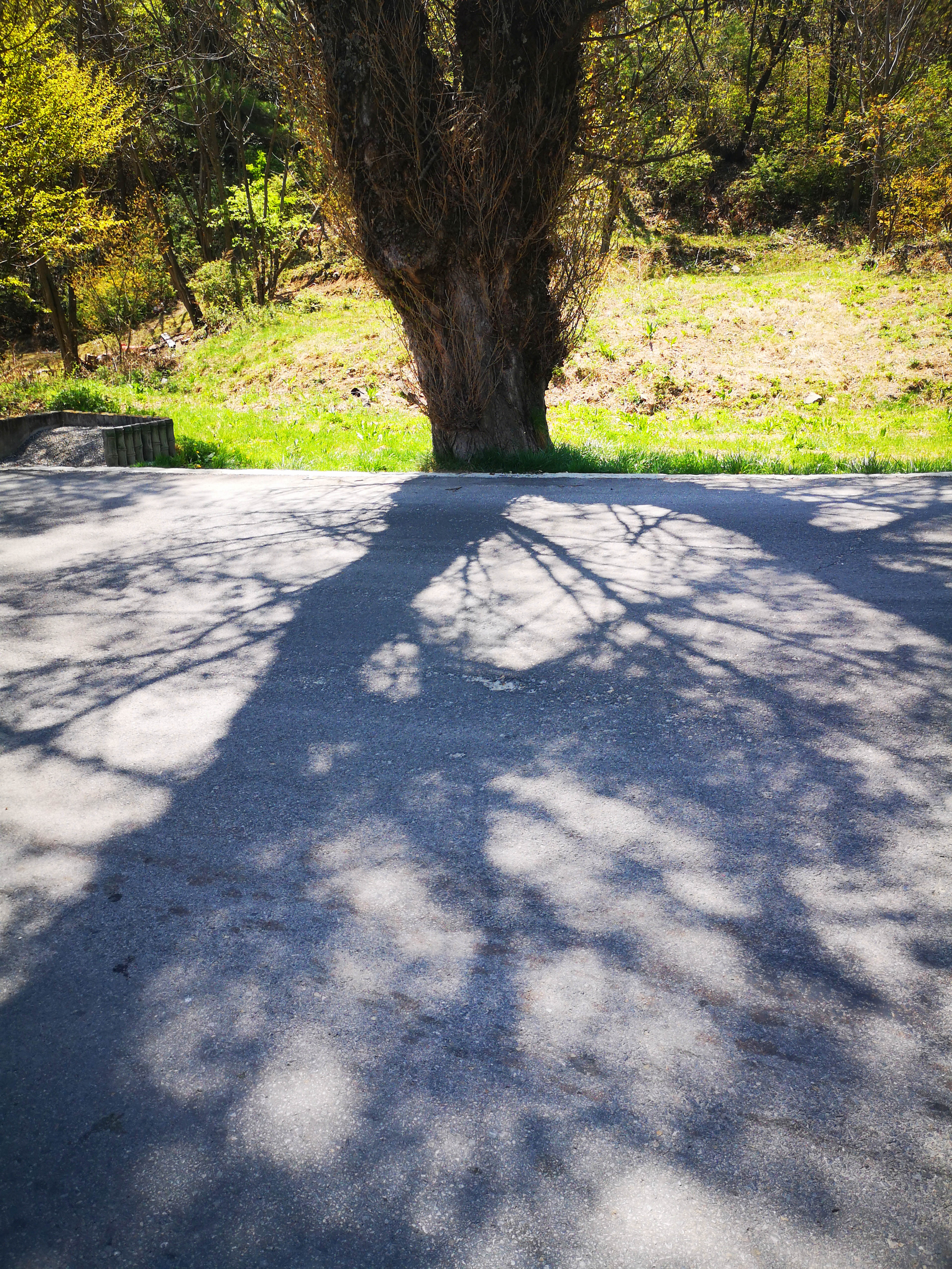 蜀道传奇在哪,蜀道传奇舞钢