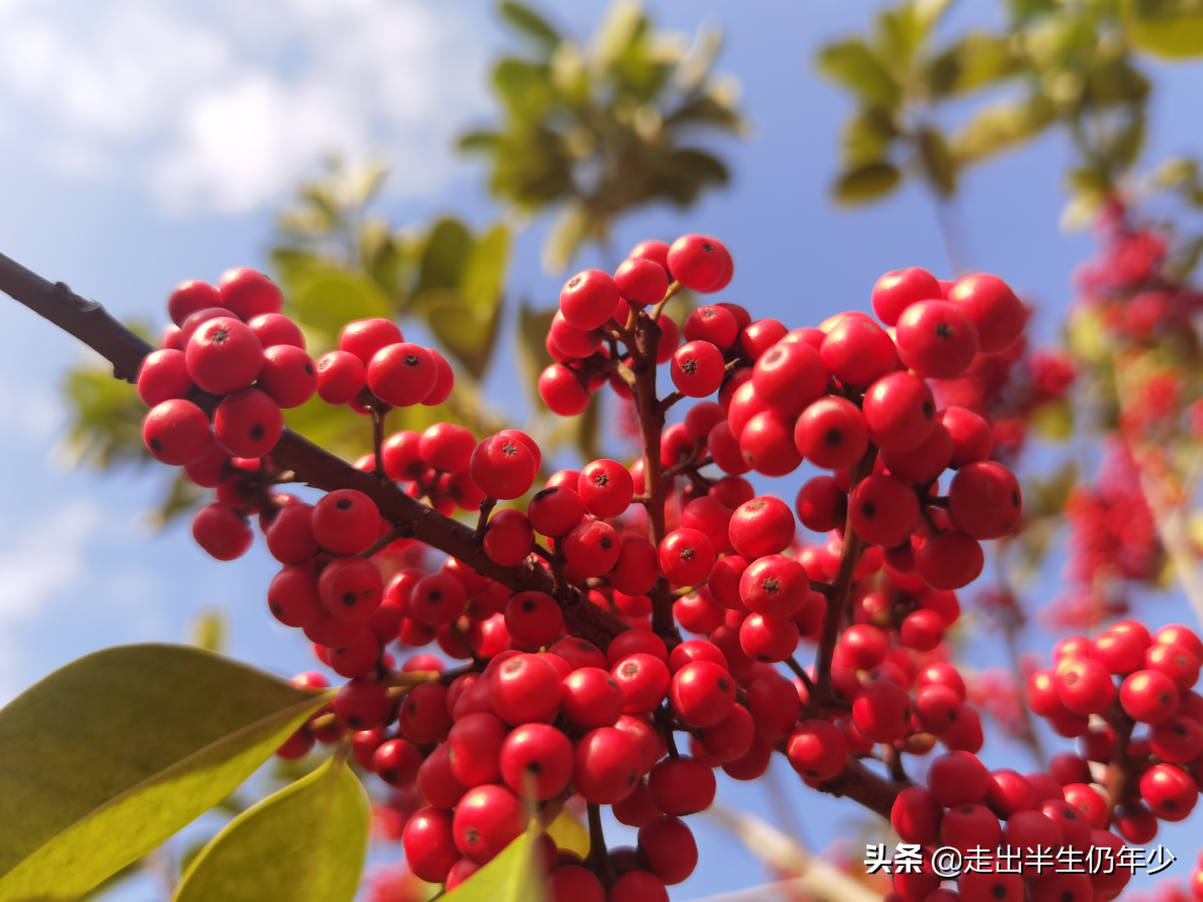 深圳足球场,深圳免费足球场