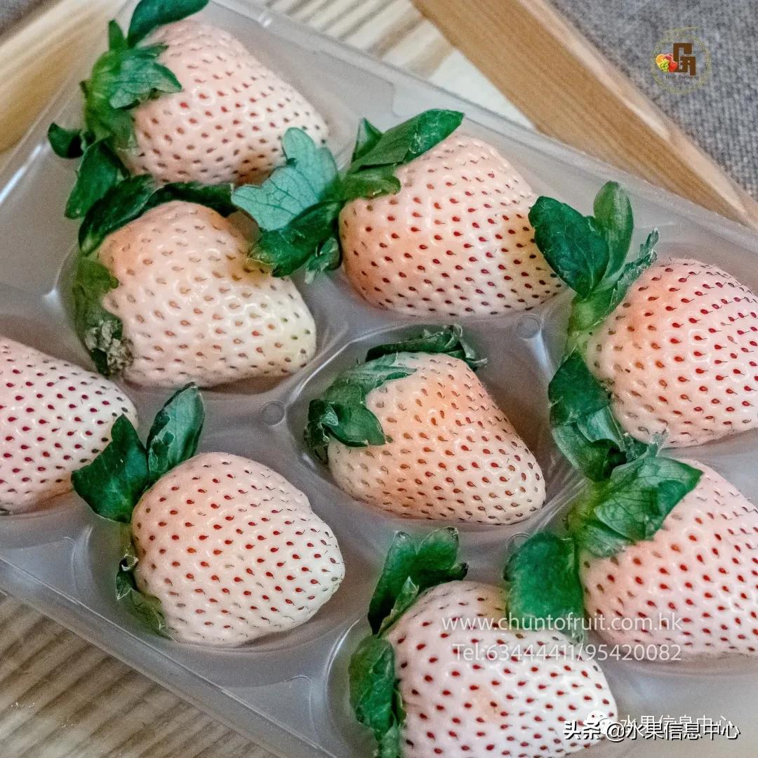 卖进口水果利弊,卖进口水果怎么卖