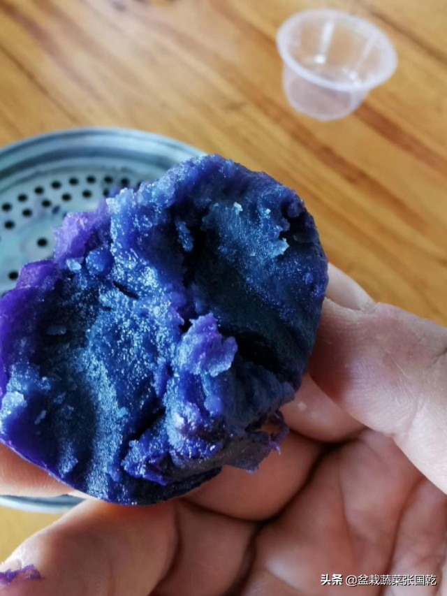 紫土豆怎么种,紫土豆的种类及功效