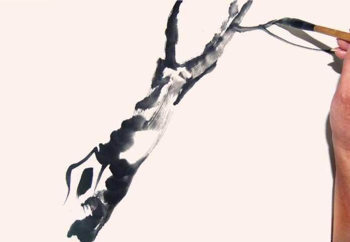 国画花枝穿插技巧图解,国画花枝的简单教程