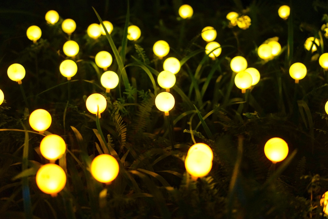 清远森波拉避暑胜地,森波拉奇妙世界温泉门票价格