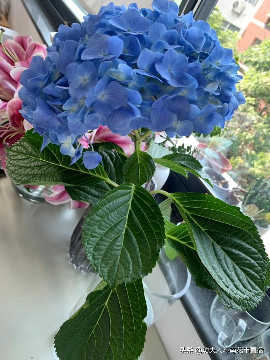 2020年1月6日功夫人鲜花顾客工作总结和重要通知说明