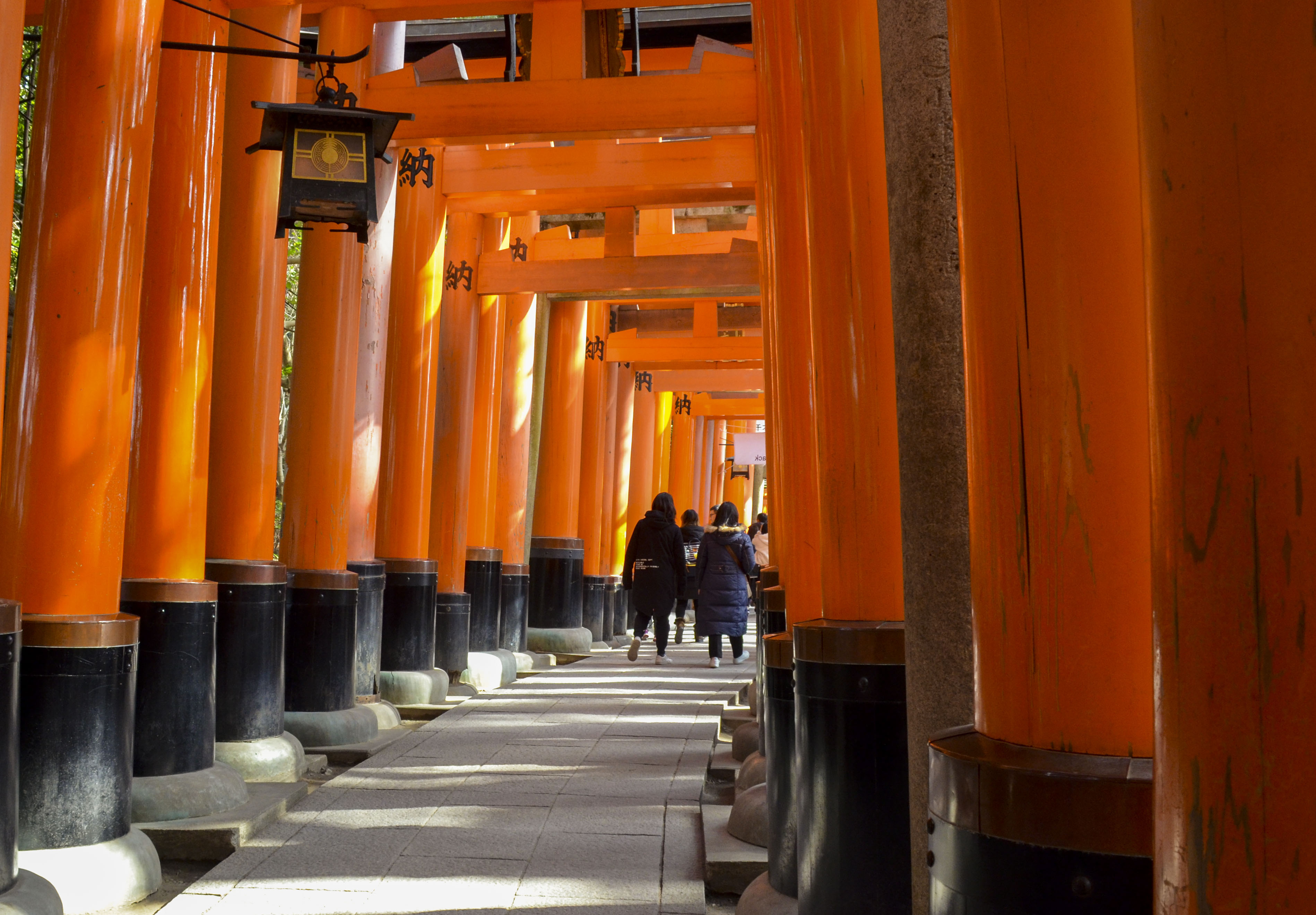日本关西深度自由行攻略,日本关西五天旅游攻略