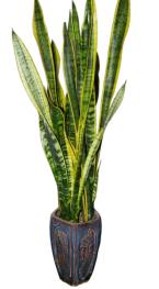 装修中的空气污染及来源,装修空气污染怎么解决