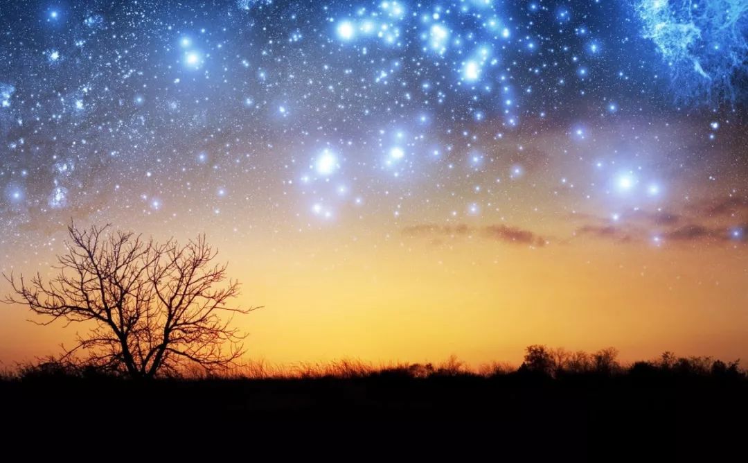 一位医生得了癌症的自述,一位癌症晚期患者