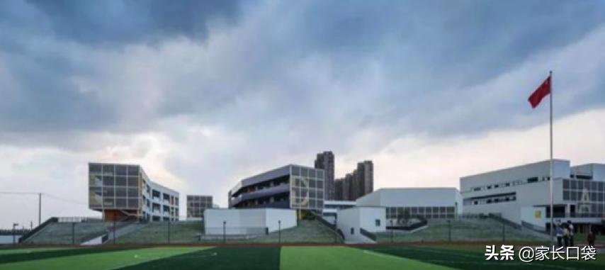 错过了民办小学摇号报名怎么办,摇号不中回来还有定向分吗