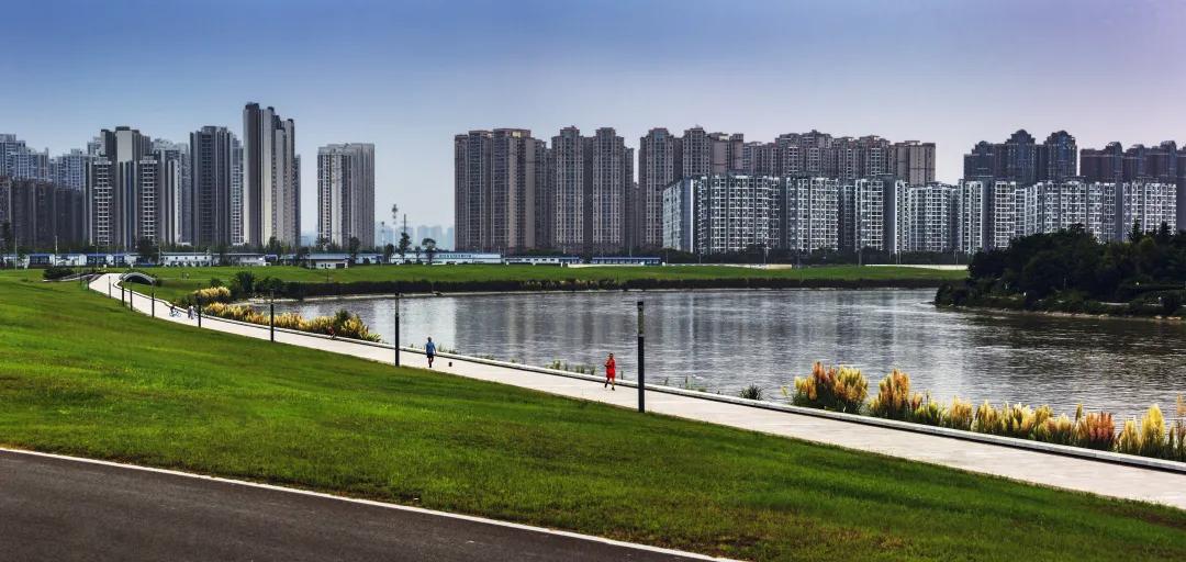 成都天府新区华阳小学,成都市天府新区华阳小学