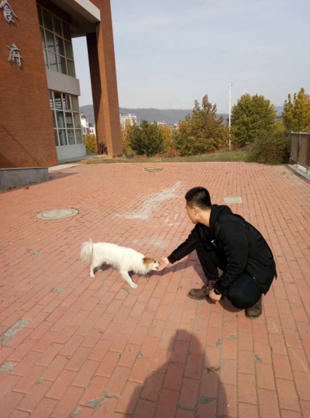 难忘的考研故事,一个流水账似的考研故事