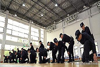 全警实战大练兵提升办案效率,全警实战大练兵加强执法训练
