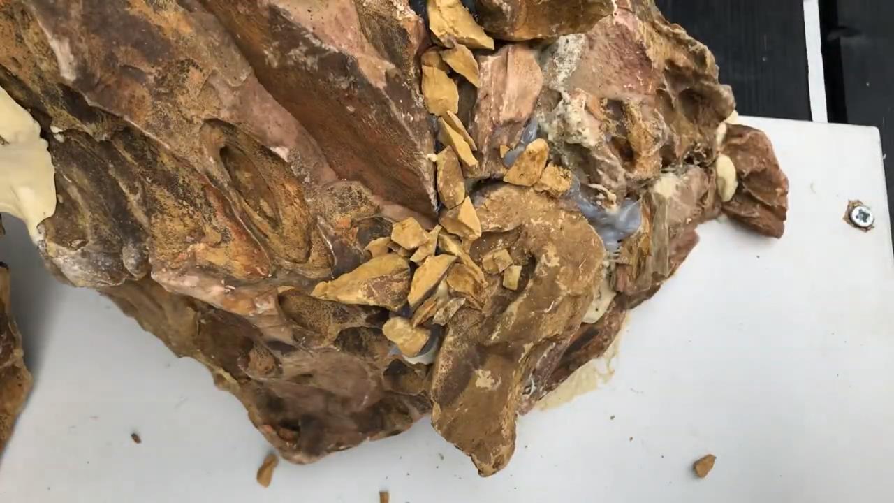 小草缸造景入门水草基本知识,小型草缸造景入门水草基本知识