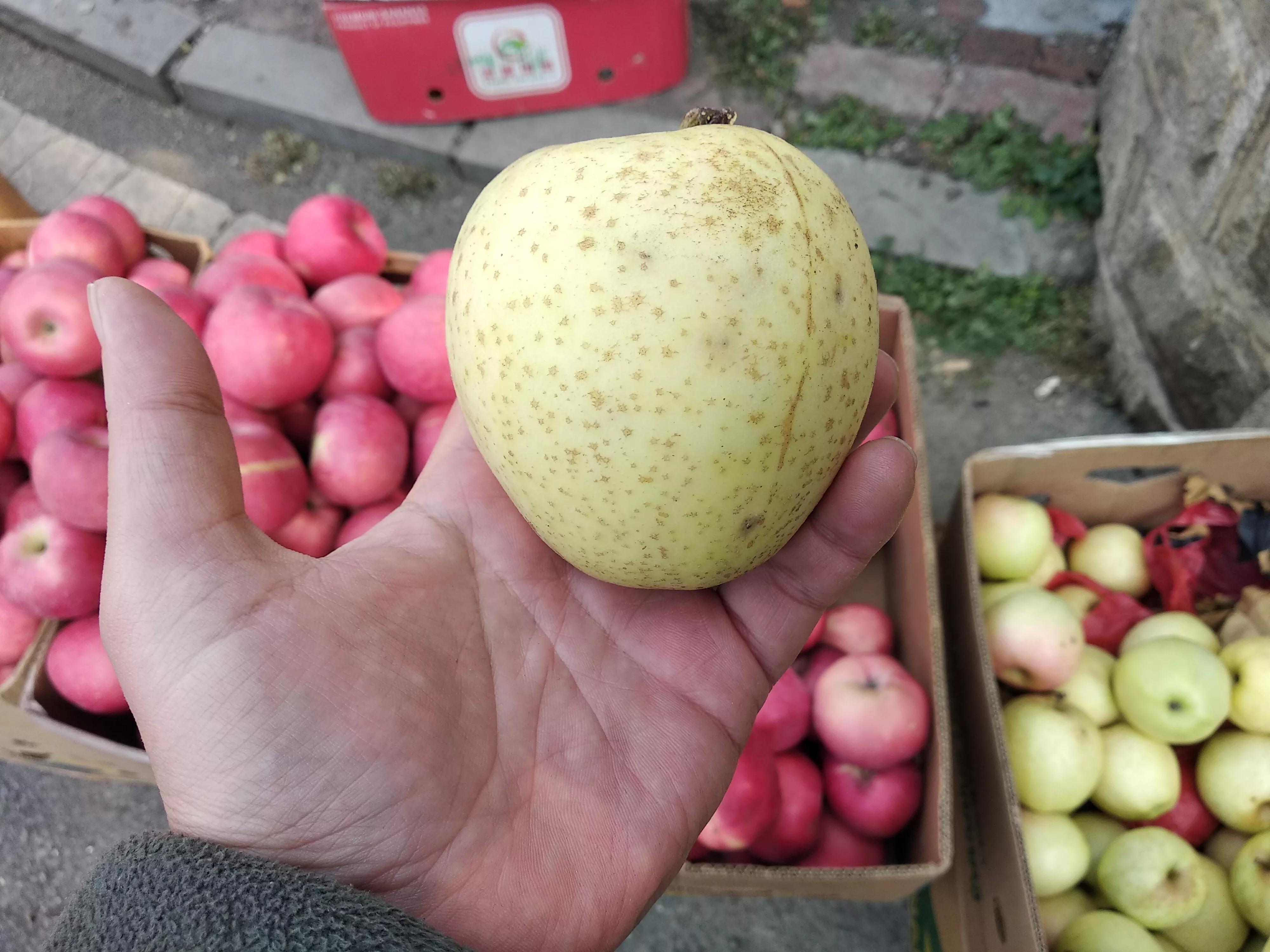 苹果应该买哪种品种,买苹果选哪种好吃