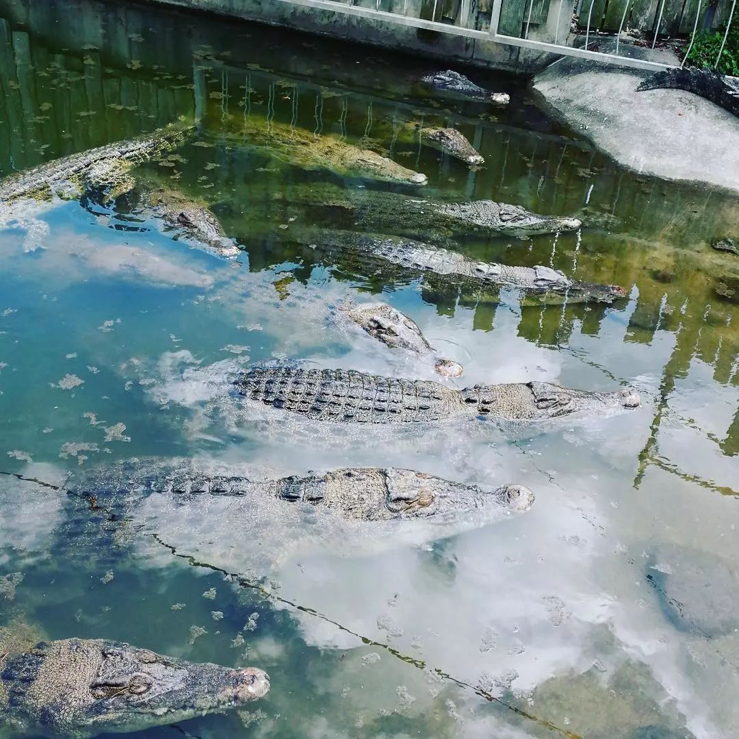 日本地狱谷温泉脏不脏,日本三大温泉之一有名的草津温泉