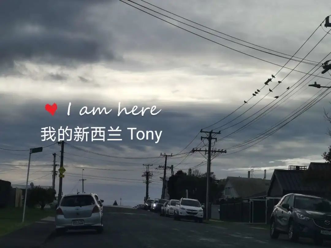 新西兰疫情下未来经济发展,新西兰疫情期间经历了什么