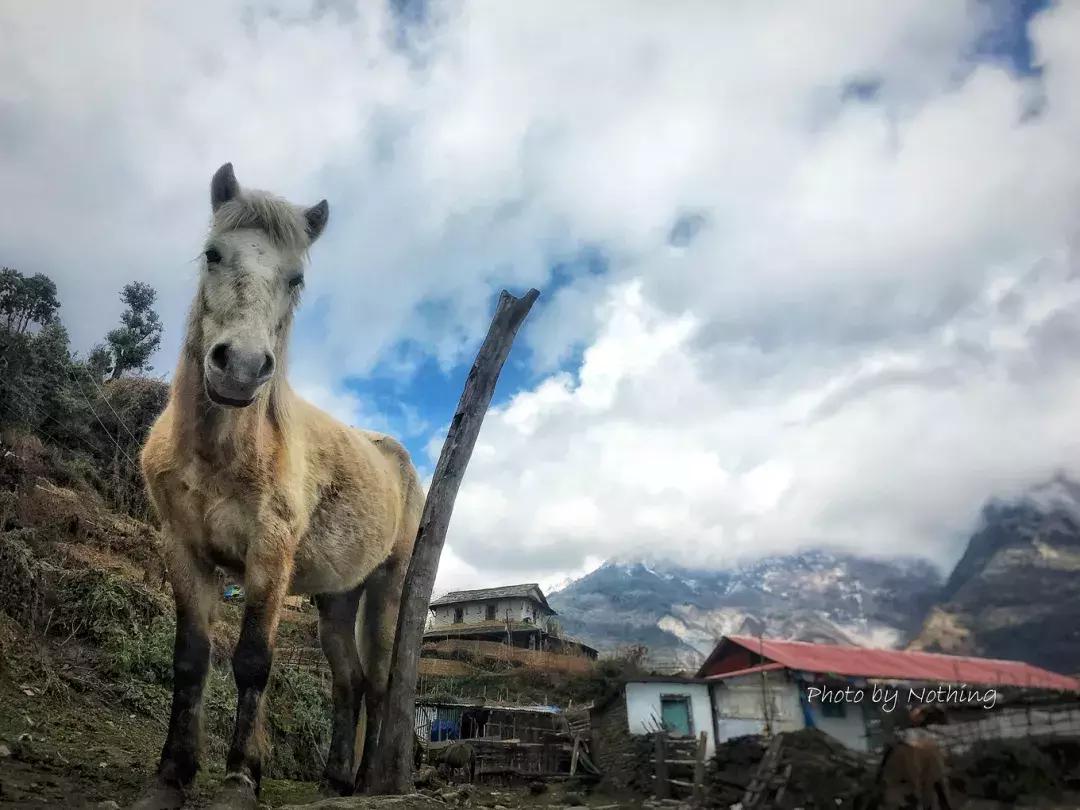 徒步小游记,徒步西藏小白