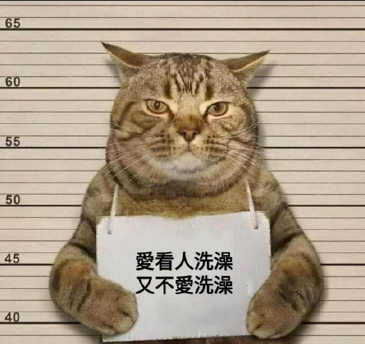 二次元的钱就是好赚,二次元的钱就是这么好赚