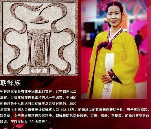 油管看中国56个民族传统服饰,56个民族女性服饰图片大全