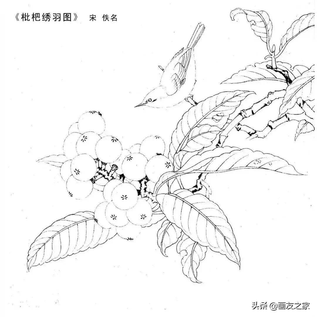 宋花鸟工笔画高清大图临摹过程,宋画工笔画花卉上色教程