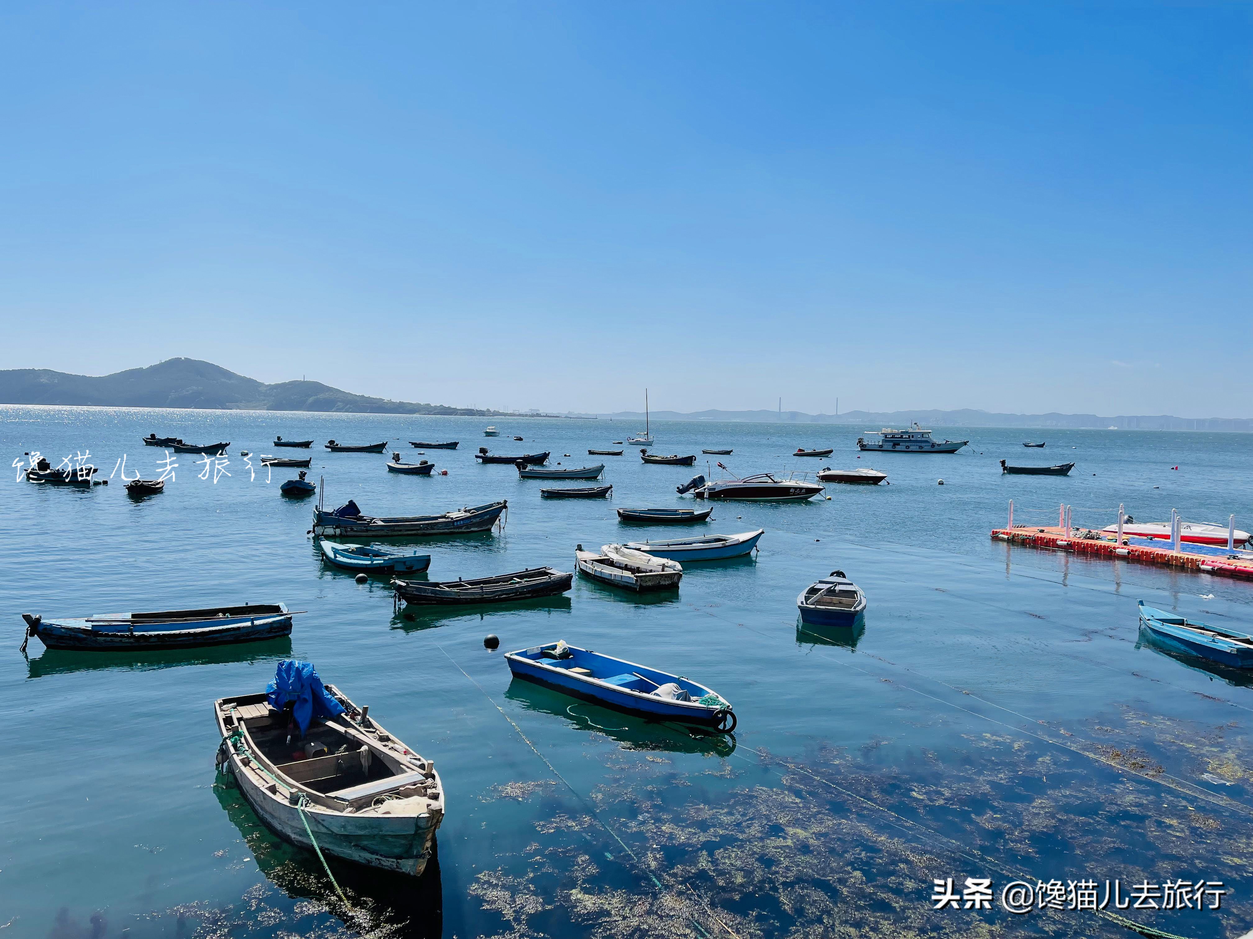 实拍威海海参打捞,如何分辨野生还是养殖?海参排泄物居然能吃