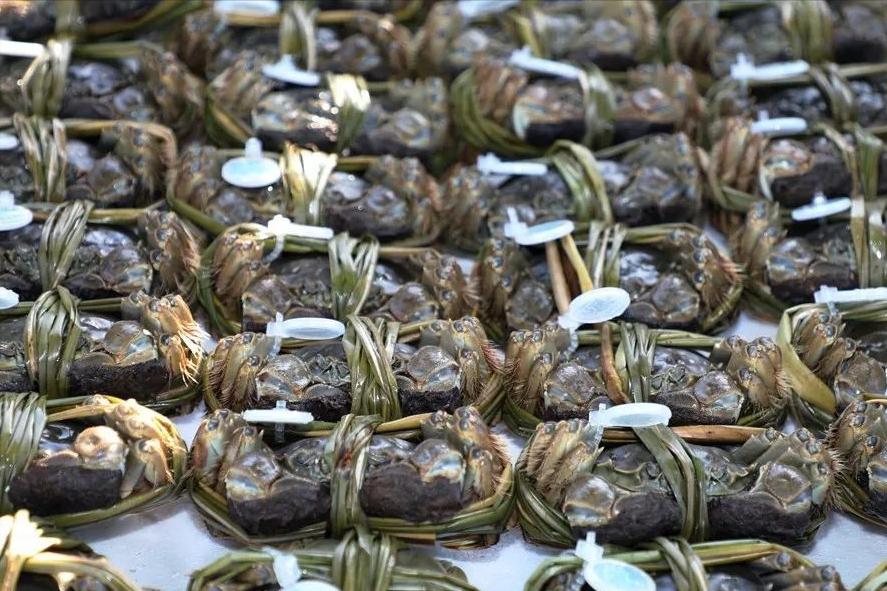 全国哪的大闸蟹最好吃,什么地方的大闸蟹最好吃