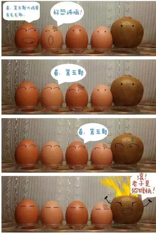 新西兰算不算最佛系的国家了,新西兰是个发达有趣的国家