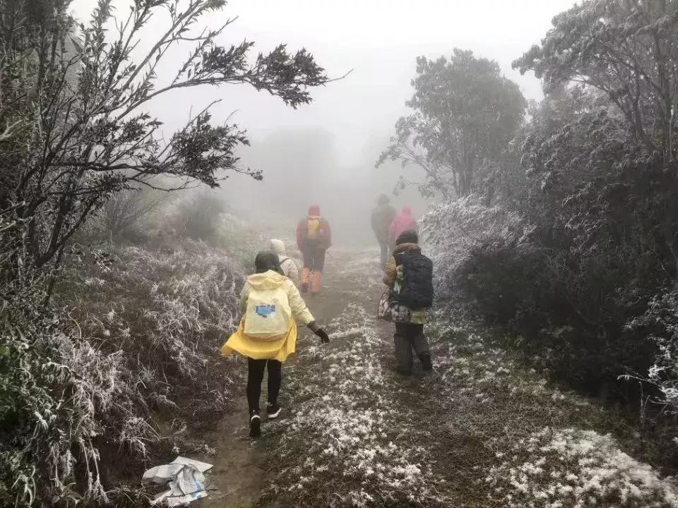化州回南天还要多久,回南天来袭化州橘红收藏防潮攻略