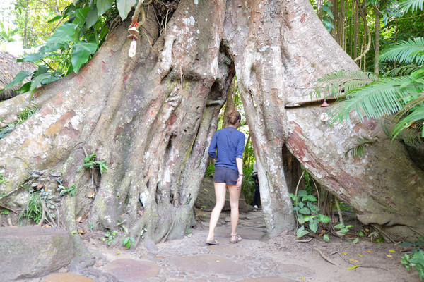 海南呀诺达热带雨林文化旅,三亚诺达雨林旅游攻略