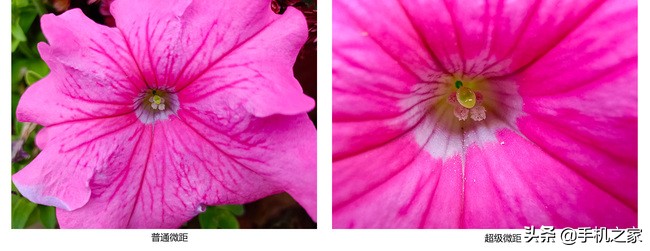 vivoy73s测评,vivoy73s重要参数详细