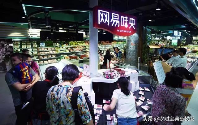 丁磊现代化猪场在哪里,养猪大企业丁磊