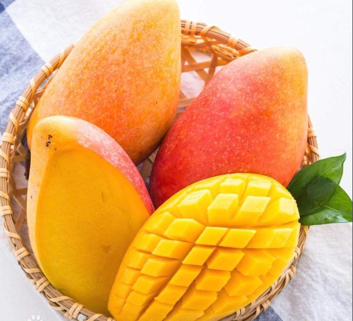 最全芒果评测,十大最好芒果排名