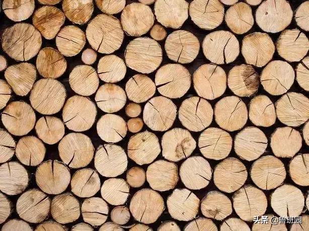 日本杉板制作全过程,烧杉板可以用哪些木材制作