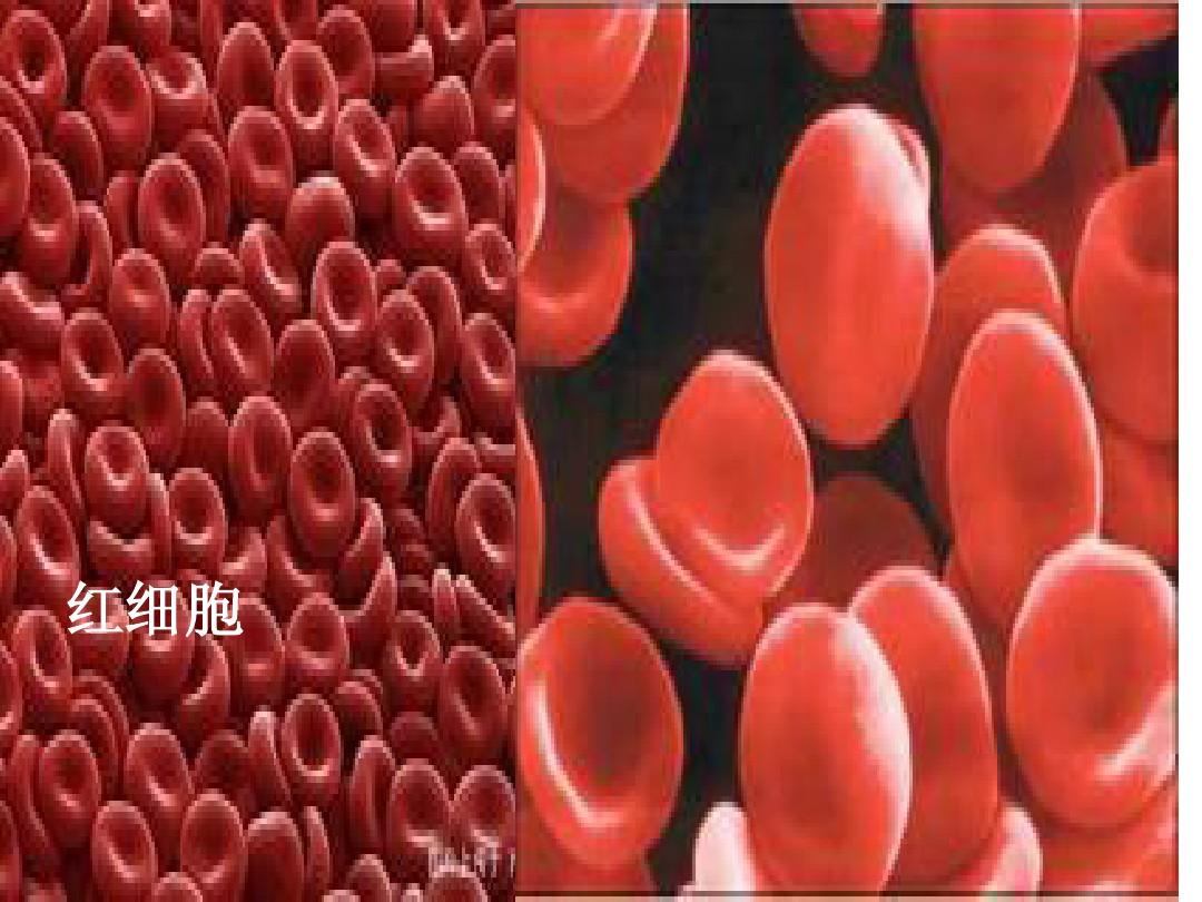 小儿免疫球蛋白iga偏低是什么原因,先天性免疫球蛋白缺乏症能治好吗