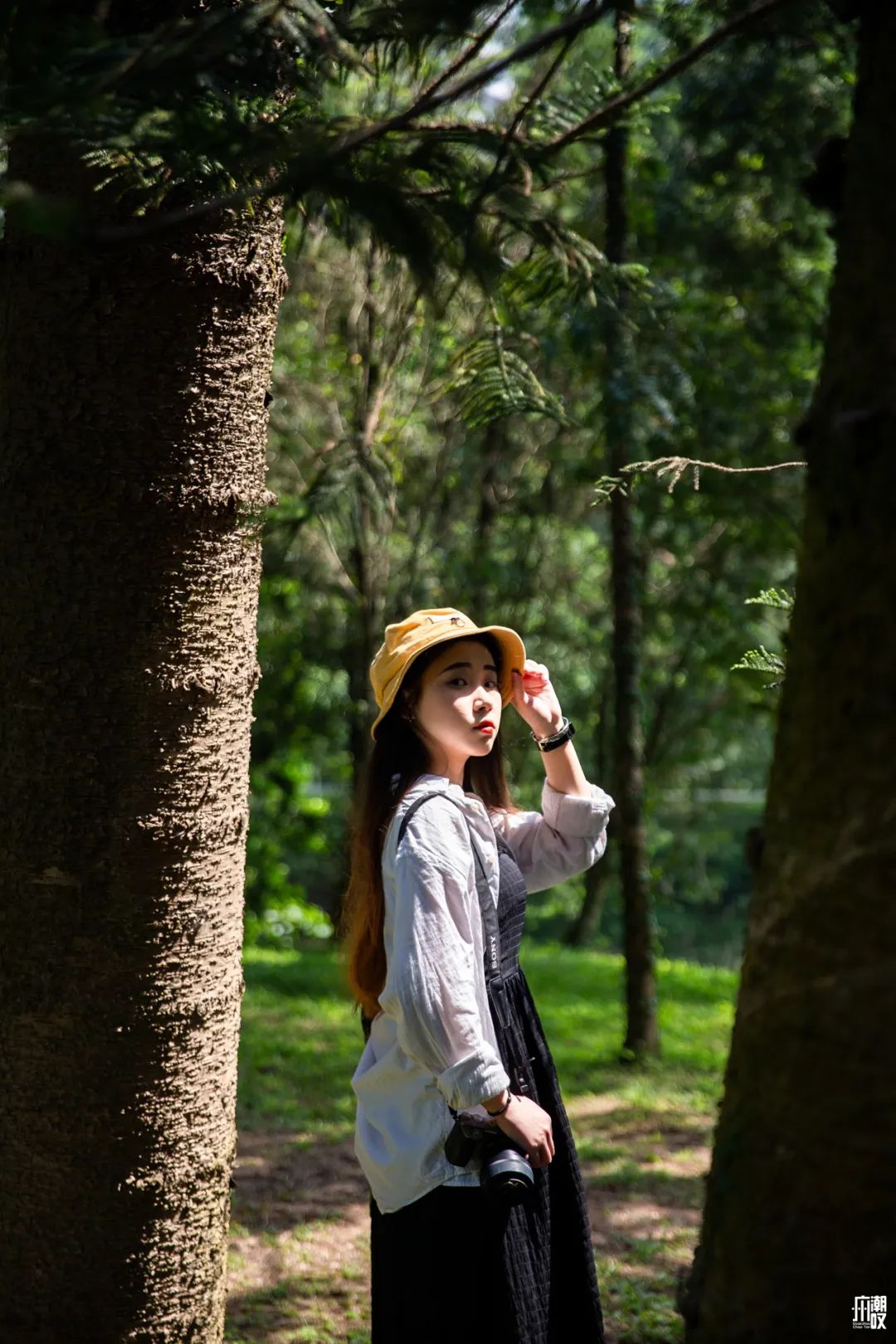 300+万㎡原始森林秘境，天河就有