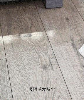 如何保证屋里没有灰尘毛絮,屋里到处飞的杨絮吸尘器
