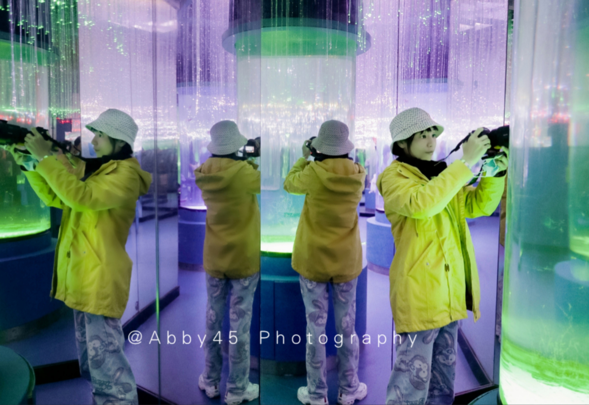 国内值得去的海洋世界,令人惊艳的海洋世界