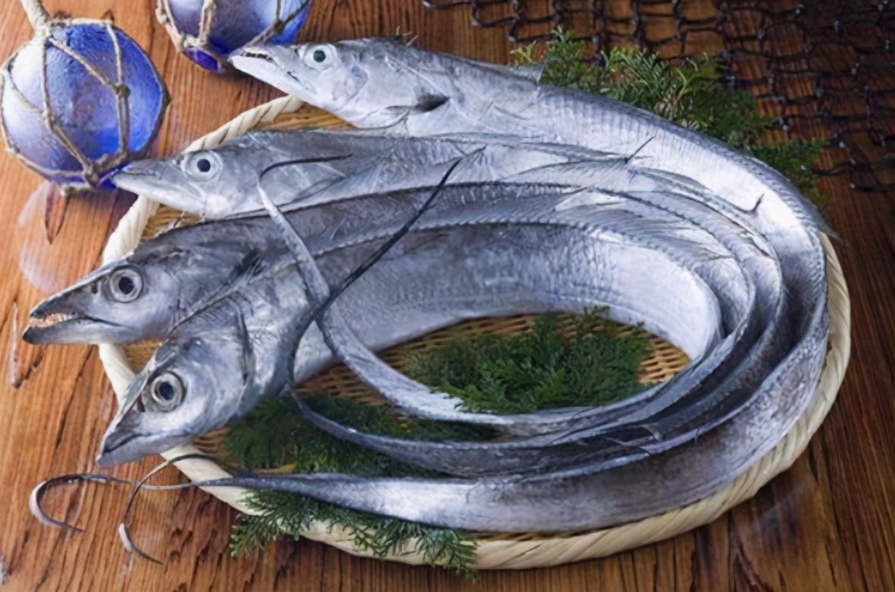 买带鱼的正确方法和注意事项,挑选带鱼的正确方法