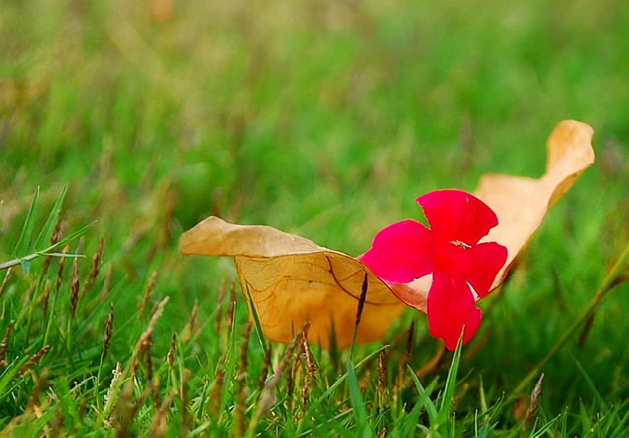 离婚后还能复婚的六种表现,男人要不要复婚问自己几个问题