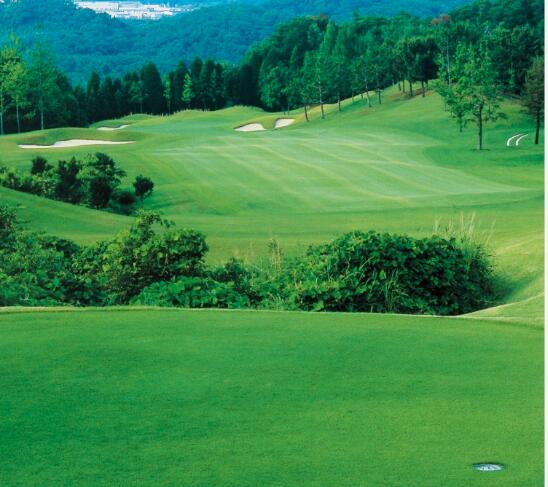 日本高尔夫球场,日本百佳