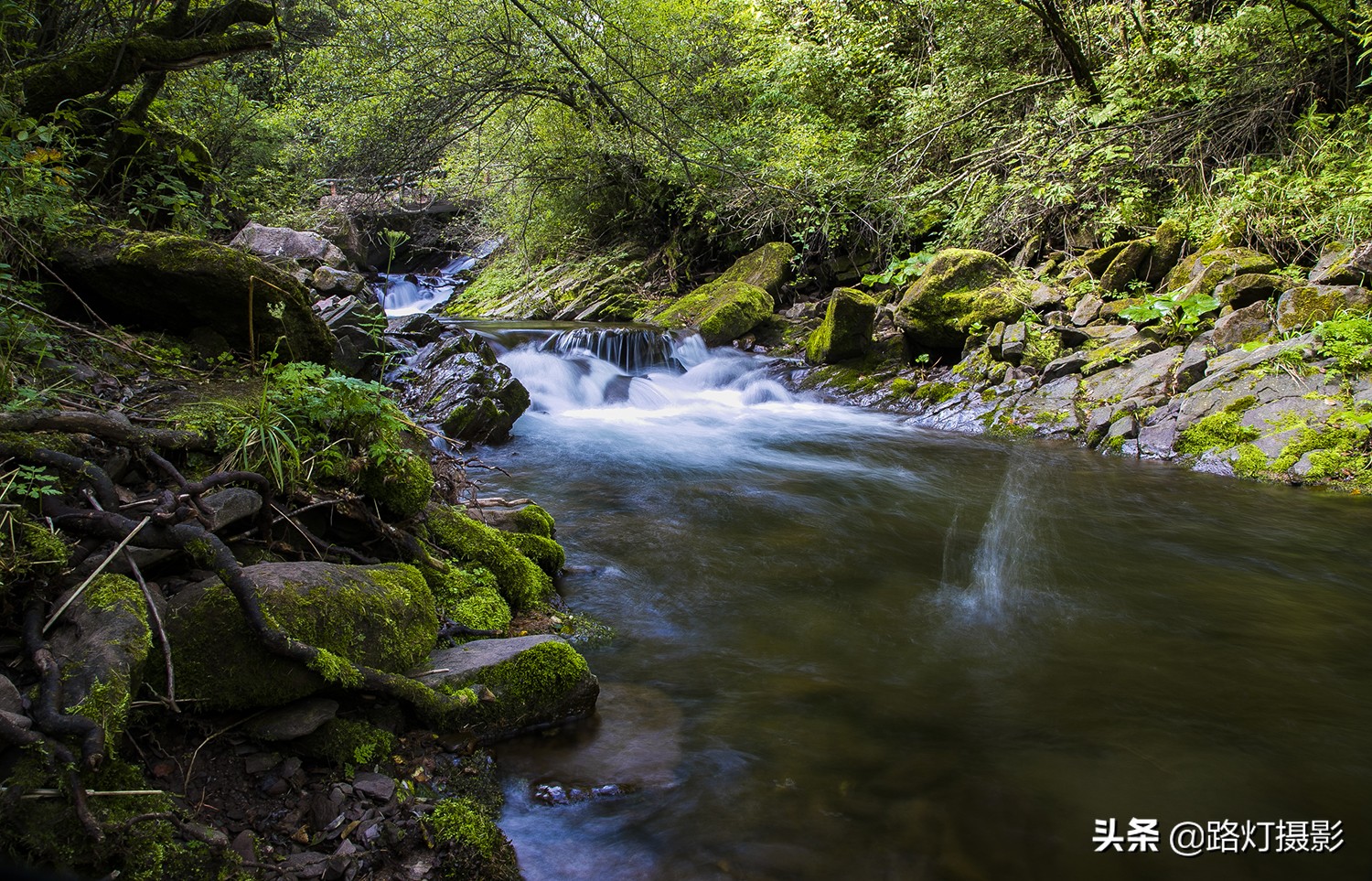 初夏要有十分美，宁夏固原占九分，你同意吗？