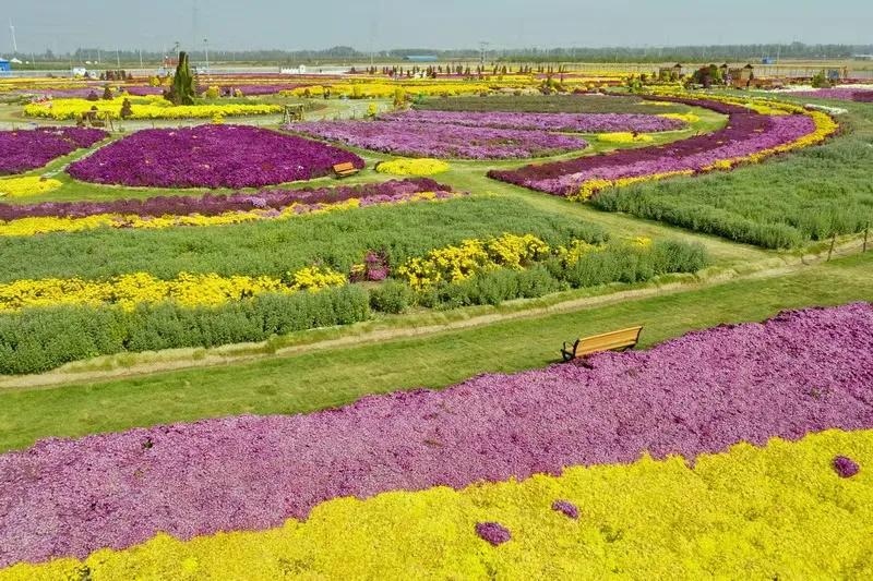 胜日寻芳泗水滨图片,胜日寻芳泗水滨的下一句是