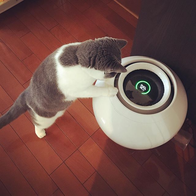 巴慕达rain加湿器,balmuda日本巴慕达加湿器三重净化