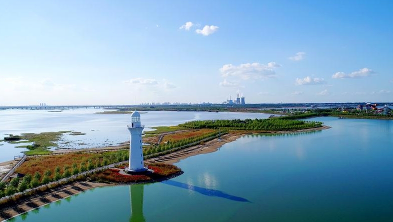 呼兰河口湿地公园生态变化,呼兰河口湿地公园