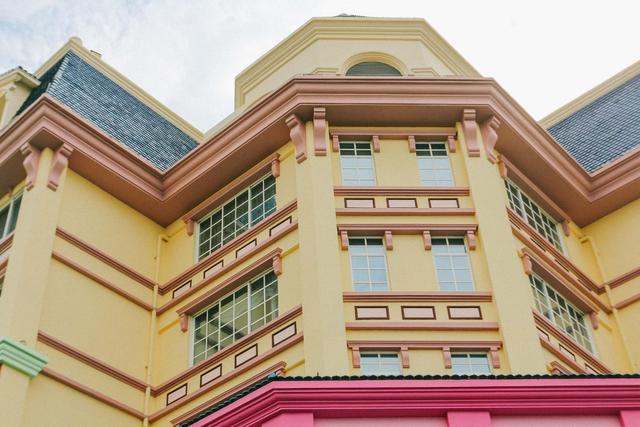 广州南沙百万葵园,广州百万葵园景点图片大全